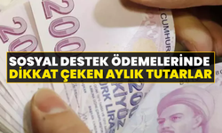 Sosyal Destek Ödemelerinde Dikkat Çeken Aylık Tutarlar