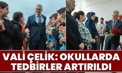 Vali Çelik: Okullarda Tedbirler Artırıldı