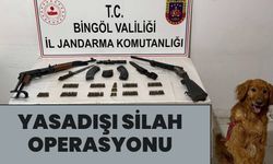 Karlıova'da Yasadışı Silah ve Mühimmat Ele Geçirildi