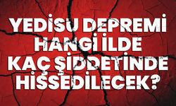 Yedisu Depremi Hangi İlde Kaç Şiddetinde Hissedilecek?