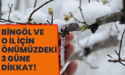 Bingöl ve O İl İçin Zirai Don Uyarısı!