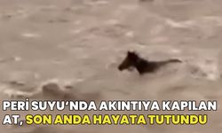 Bingöl'de Peri Suyu'nda Akıntıya Kapılan Atın Hayatta Kalma Mücadelesi