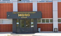 Kazara kendini vuran genç, yaşam savaşını kaybetti