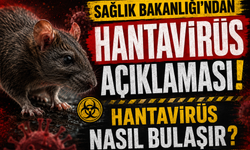 Sağlık Bakanlığı’ndan Hantavirüs Açıklaması! Hantavirüs Nasıl Bulaşır?