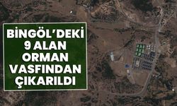 Bingöl’deki 9 Alan Orman Vasfından Çıkarıldı