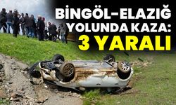Bingöl-Elazığ Yolunda Kaza: 3 Yaralı