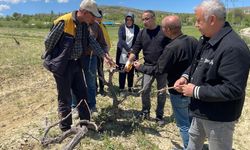 Elazığ'da Çiftçiye 'Tarla Okulu' Eğitimi