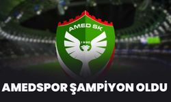 Amedspor Şampiyon Oldu