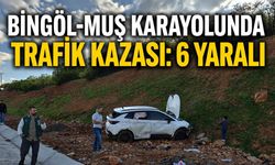 Bingöl-Muş Karayolunda Trafik Kazası: 6 Yaralı