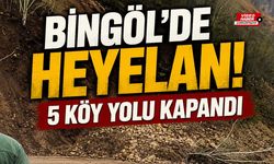 Bingöl'de Heyelan: 5 Köy Yolu Kapandı