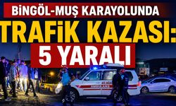 Bingöl-Muş Karayolunda Trafik Kazası: 5 Yaralı