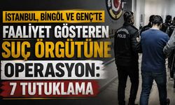 İstanbul, Bingöl ve Genç’te Faliyet Gösteren Suç Örgütüne Operasyon: 7 Tutuklama