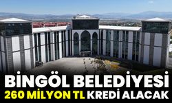 Bingöl Belediyesi 260 Milyon TL Kredi Alacak