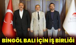 Bingöl Balı İçin İş Birliği