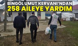 Bingöl Umut Kervanı’ndan 258 Aileye Yardım