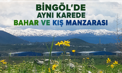 Bingöl’de Aynı Karede Bahar Ve Kış Manzarası