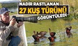 Bingöl’deki Sulak Alanlar Ender Rastlanan Kuş Türlerine Ev Sahipliği Yapıyor