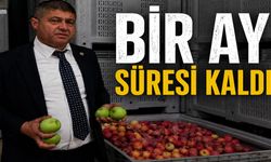 Bir Ay Kaldı: Depolardaki 50 Bin Ton Elma İçin Kritik Süreç!
