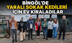Bingöl’de Yaralı Sokak Kedileri İçin Ev Kiraladılar