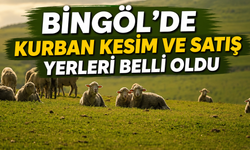 Bingöl’de Kurban Kesim Ve Satış Yerleri Belli Oldu