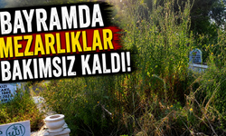 Bayramda Mezarlıklar Bakımsız Kaldı!