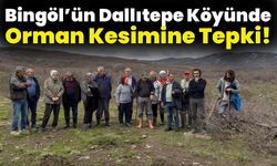 Bingöl’ün Dallıtepe Köyünde Orman Kesimine Tepki!