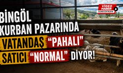 Bingöl Kurban Pazarında Vatandaş “Pahalı”, Satıcı “Normal” Diyor!