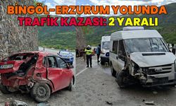 Bingöl Erzurum Yolunda Trafik Kazası: 2 Yaralı