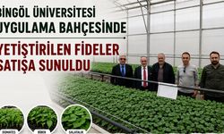 Bingöl Üniversitesi Ziraat Fakültesi, Sebze Fidesi Satışına Başladı