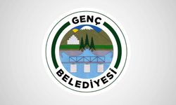 BİNA İNŞAATI YAPTIRILACAKTIR (GENÇ BELEDİYESİ)