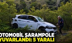 Bingöl'de Otomobil Şarampole Yuvarlandı: 5 Yaralı