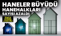 Tek Ebeveynli Ailelerin En Fazla Olduğu İl Bingöl