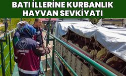 Bingöl’den Batı İllerine Kurbanlık Sevkiyatı Başladı