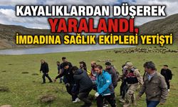 Bingöl'de Kayalıklardan Düşerek Yaralanan Vatandaşın İmdadına Sağlık Ekipleri Yetişti