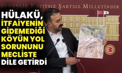Hülakü, İtfaiyenin Gidemediği Köyün Yol Sorununu Mecliste Dile Getirdi