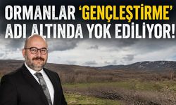 Ormanlar ‘Gençleştirme’ Adı Altında Yok Ediliyor!