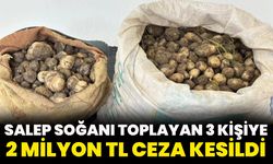 Salep Soğanı Toplayan 3 Kişiye 2 Milyon TL Ceza Kesildi