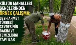 Bingöl’de Şeyh Ahmet Türbesi Çevresinde Örnek Temizlik Çalışması