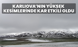 Karlıova’nın Yüksek Kesimlerinde Kar Etkili Oldu