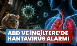 ABD Ve İngiltere’de Hantavirüs Alarmı