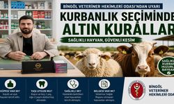 Kurbanlık Seçiminde Altın Kurallar: Sağlıklı Hayvan Nasıl Anlaşılır?