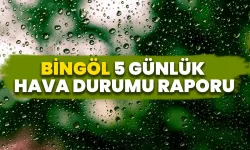 Bingöl 5 Günlük Hava Durumu Raporu