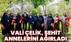 Vali Çelik, Şehit Annelerini Ağırladı