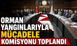 Bingöl’de ‘Orman Yangınlarıyla Mücadele Komisyonu’ Toplandı