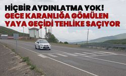 Bingöl’de Aydınlatması Olmayan Yaya Geçidi, Kazalara Davetiye Çıkarıyor!