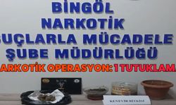 Bingöl'de Narkotik Operasyon: 1 Tutuklama