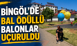 Bingöl’de Bal Ödüllü Balonlar Uçuruldu