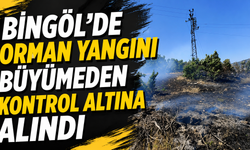Bingöl’de Orman Yangını Büyümeden Kontrol Altına Alındı
