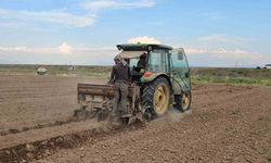 Bitlis'te Fasulye Ekimi Çalışmaları