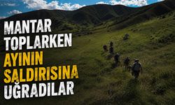 Mantar Toplarken Ayının Saldırısına Uğradılar: 3 Kişi Yaralandı